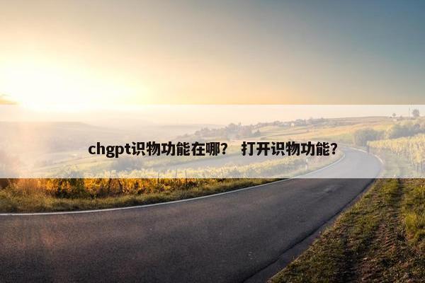 chgpt识物功能在哪？ 打开识物功能？