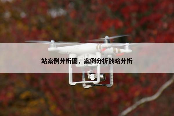 站案例分析图，案例分析战略分析