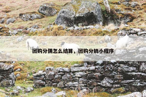 团购分佣怎么结算，团购分销小程序