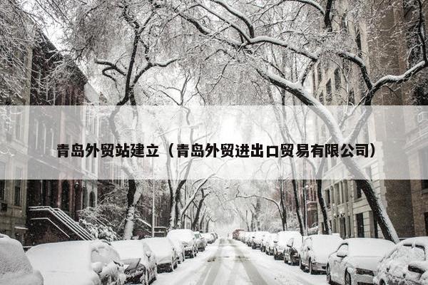 青岛外贸站建立（青岛外贸进出口贸易有限公司）