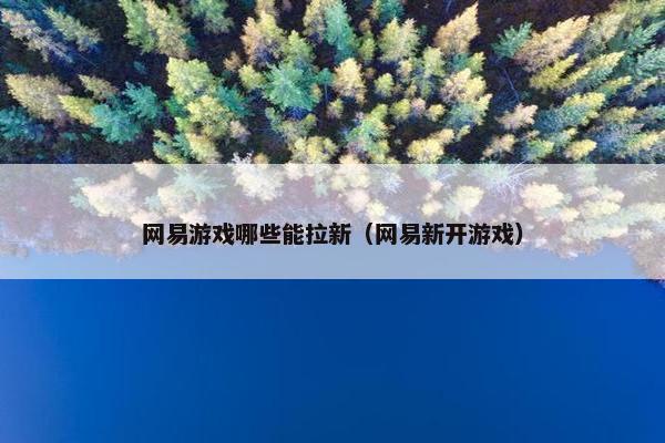 网易游戏哪些能拉新（网易新开游戏）