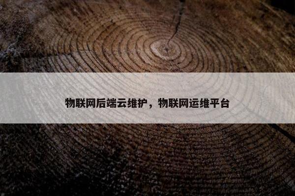 物联网后端云维护，物联网运维平台