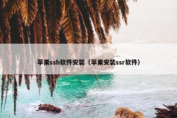 苹果ssh软件安装（苹果安装ssr软件）