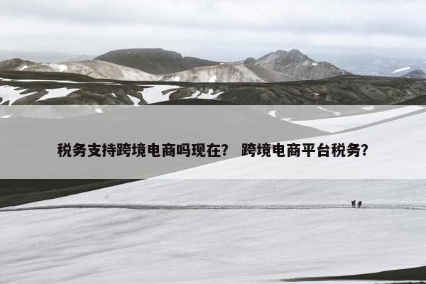 税务支持跨境电商吗现在? 跨境电商平台税务? 税务支持跨境电商吗现在? 跨境电商平台税务?