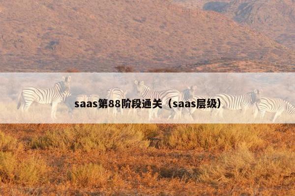 saas第88阶段通关（saas层级）