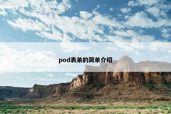 pod表弟的简单介绍