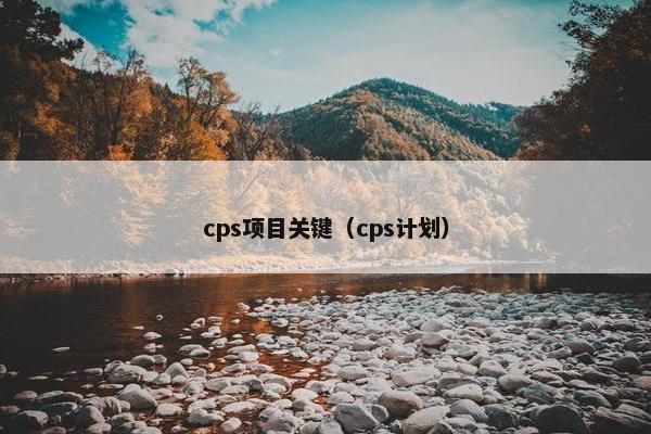 cps项目关键（cps计划）