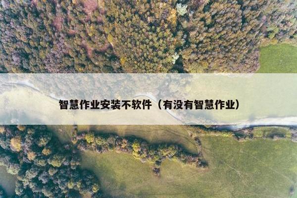 智慧作业安装不软件（有没有智慧作业）