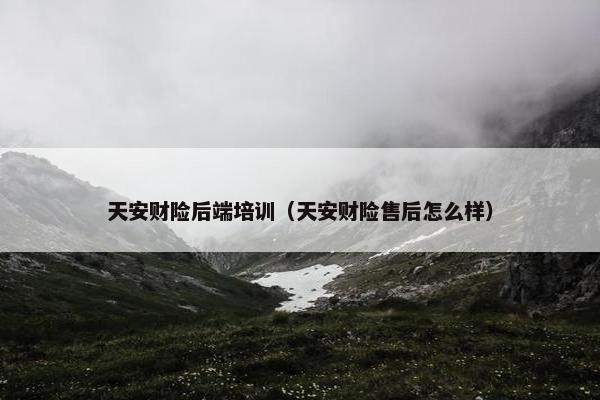 天安财险后端培训（天安财险售后怎么样）