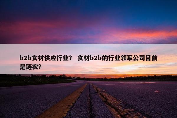 b2b食材供应行业？ 食材b2b的行业领军公司目前是链农？