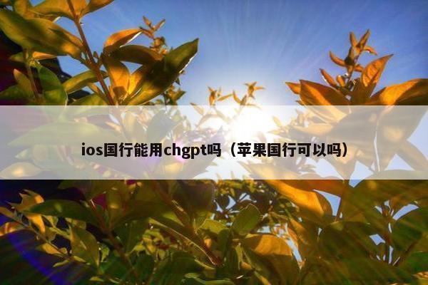 ios国行能用chgpt吗（苹果国行可以吗）