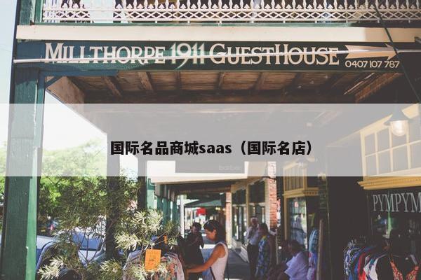 国际名品商城saas（国际名店）