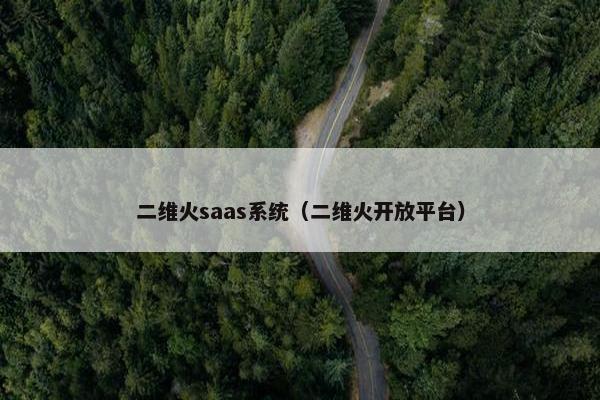 二维火saas系统（二维火开放平台）