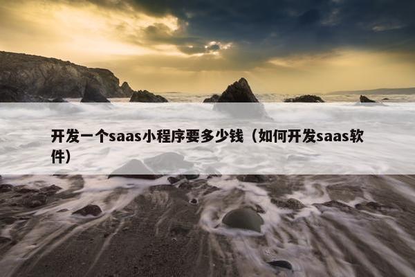 开发一个saas小程序要多少钱(如何开发saas软件) 开发一个saas小程序要多少钱(如何开发saas软件)