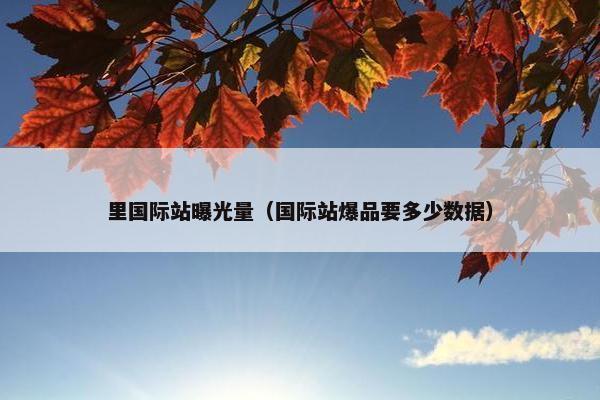 里国际站曝光量（国际站爆品要多少数据）