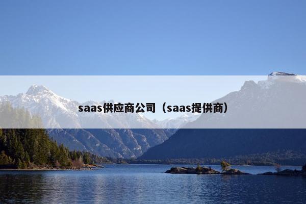 saas供应商公司（saas提供商）
