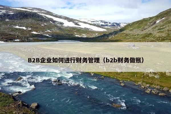 B2B企业如何进行财务管理（b2b财务做账）