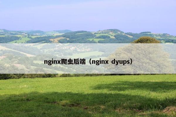 nginx爬虫后端（nginx dyups）