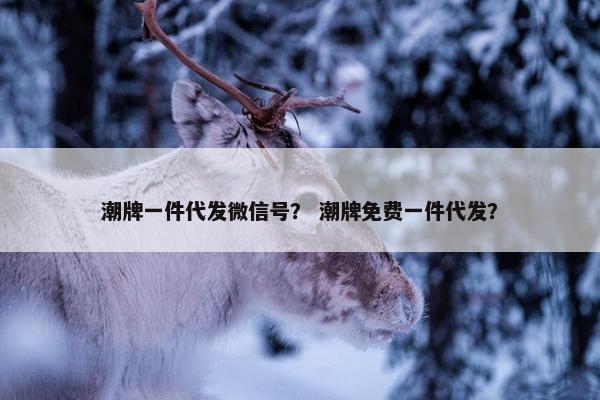 潮牌一件代发微信号? 潮牌免费一件代发?