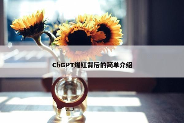 ChGPT爆红背后的简单介绍
