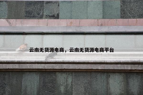 云南无货源电商，云南无货源电商平台