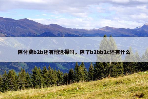 除付费b2b还有他选择吗，除了b2bb2c还有什么