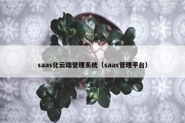saas化云端管理系统（saas管理平台）