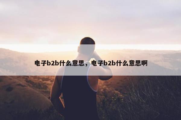 电子b2b什么意思,电子b2b什么意思啊 电子b2b什么意思,电子b2b什么意思啊