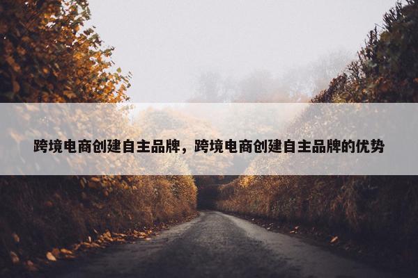 跨境电商创建自主品牌，跨境电商创建自主品牌的优势