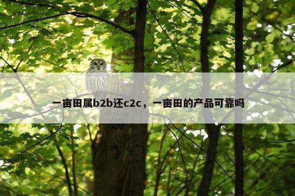 一亩田属b2b还c2c，一亩田的产品可靠吗