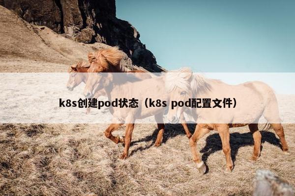 k8s创建pod状态（k8s pod配置文件）