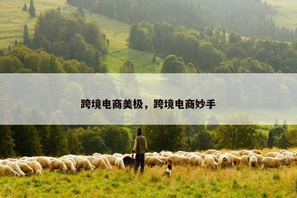 跨境电商美极，跨境电商妙手