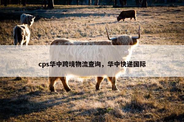 cps华中跨境物流查询，华中快递国际