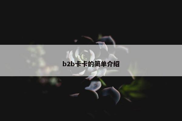 b2b卡卡的简单介绍