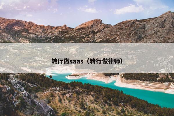 转行做saas（转行做律师）