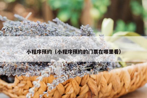 小程序预约(小程序预约的门票在哪里看)