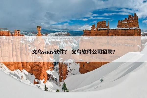 义乌saas软件？ 义乌软件公司招聘？