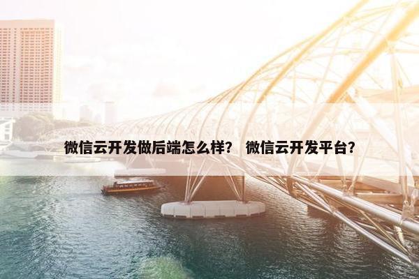 微信云开发做后端怎么样？ 微信云开发平台？