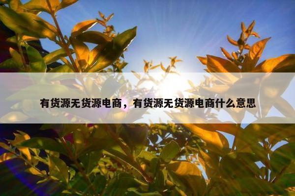 有货源无货源电商，有货源无货源电商什么意思