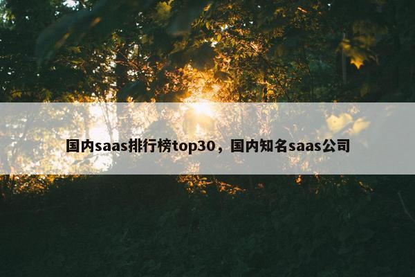 国内saas排行榜top30，国内知名saas公司