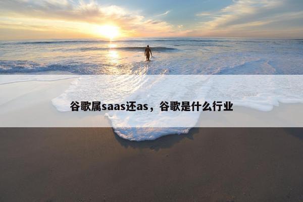 谷歌属saas还as，谷歌是什么行业
