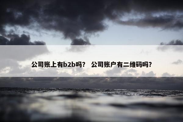 公司账上有b2b吗？ 公司账户有二维码吗？