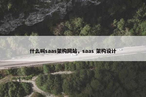 什么叫saas架构网站，saas 架构设计