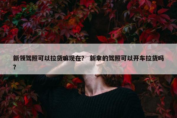新领驾照可以拉货嘛现在？ 新拿的驾照可以开车拉货吗？