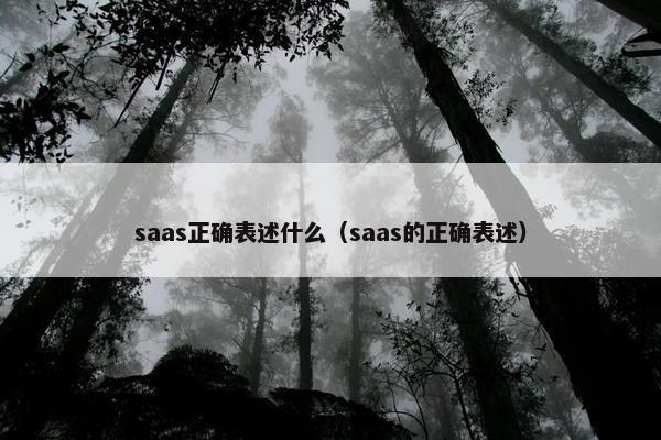 saas正确表述什么（saas的正确表述）
