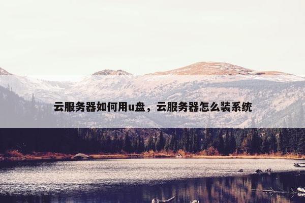 云服务器如何用u盘，云服务器怎么装系统