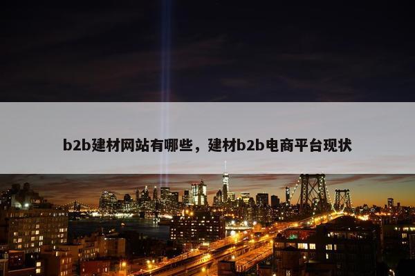 b2b建材网站有哪些，建材b2b电商平台现状