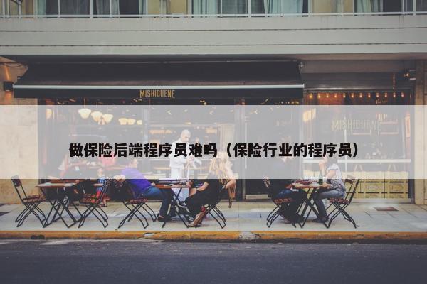 做保险后端程序员难吗（保险行业的程序员）