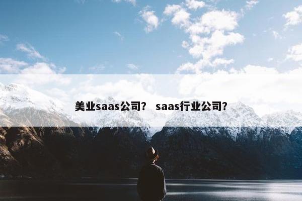 美业saas公司？ saas行业公司？
