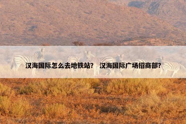 汉海国际怎么去地铁站？ 汉海国际广场招商部？
